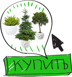 Быстрая и удобная покупка