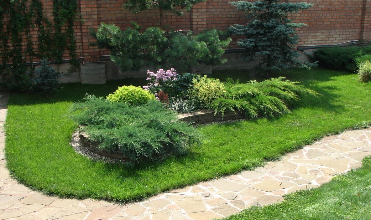 Можжевельник в ландшафтном дизайне